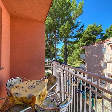 Vesna S Apartment Novigrad Istria Dış mekan fotoğraf